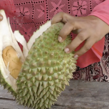 Daily Dive # 172 | The World’s STRANGEST Fruits and Vegetables